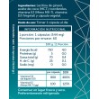 Vitaminas D3 + K2 60 cápsulas. Wellplus