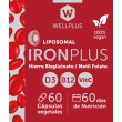 Iron Plus 60 cápsulas. WellPlus
