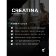 Creatina Creapure 300 grs. $39.190 -Strive