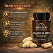 Melena de León Ultra Concentrada 60 caps.$18.500- Wellness